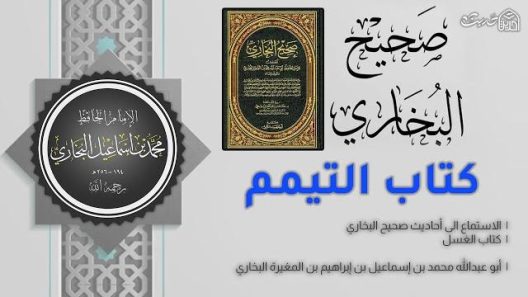صحيح البخاري – 7 كتاب التيمم
