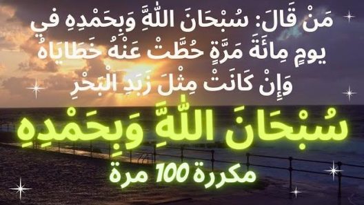 من قال سبحان الله وبحمده في يوم مائة مرة، حطت خطاياه وإن كانت مثل زبد البحر